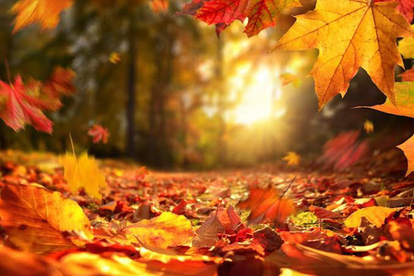 Este equinoccio marca el inicio del otoño