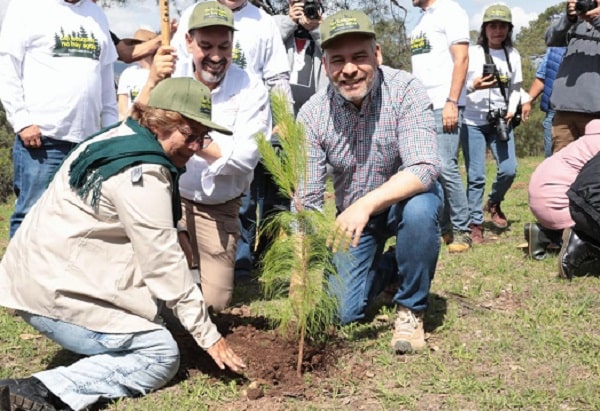 Con Plan Morelos sectores agrícola e industrial remediarán daños que causen al ambiente