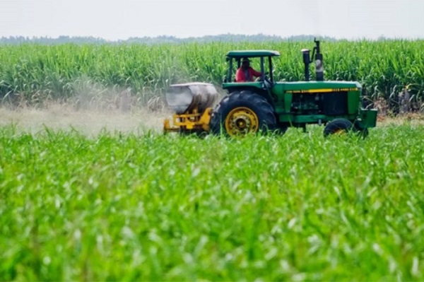 Hoy se festeja el Día Mundial de la Agricultura