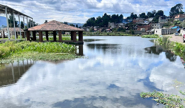 Mitad de presas de Michoacán, al 100 % de capacidad
