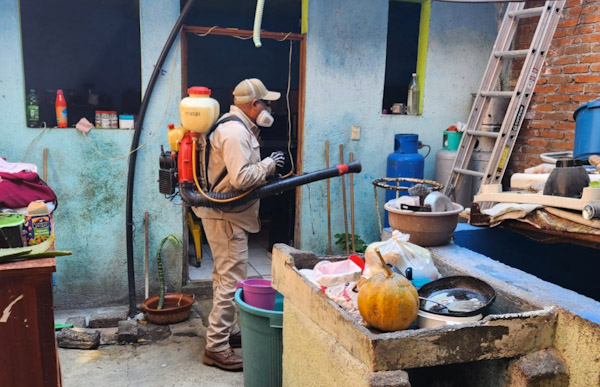 Michoacán se mantiene sin defunciones por dengue