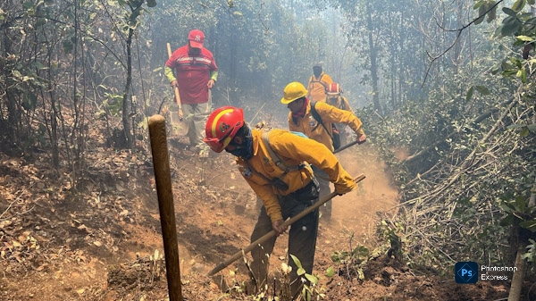 Michoacán usa sistema de alerta temprana de incendios forestales