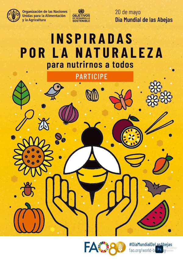 Hoy se festeja el día mundial de las abejas