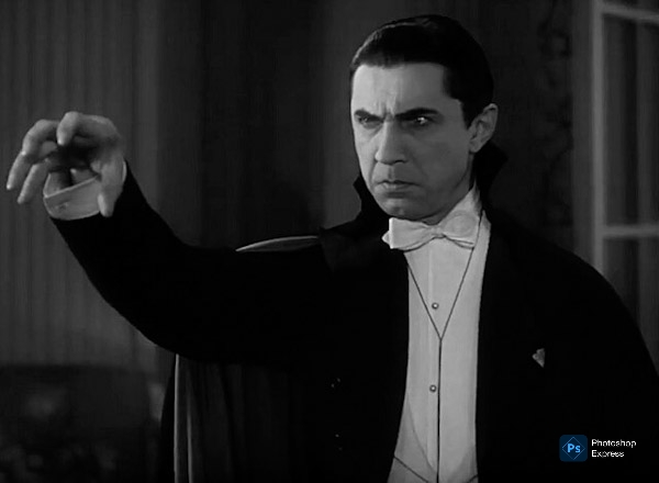 Hoy se festeja el día de Drácula