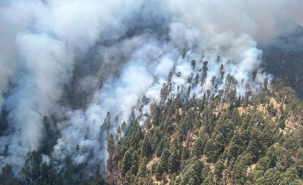 Por aire y tierra combaten incendio en el Pico de Tancítaro
