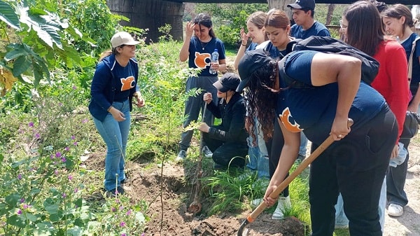 Estudiantes de UNIVA participan en reforestación del Sendero del Lerma.