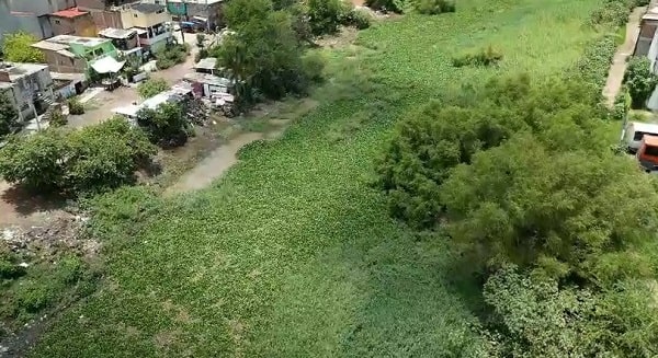 Trabajan en limpieza de tramos de rivera piedadense del Río Lerma