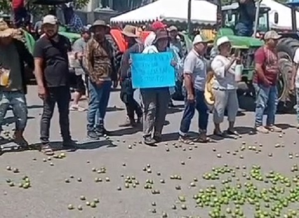Tiran 2 toneladas de limón por bajo precio