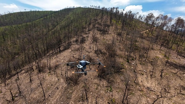 Impulsarán certificación obligatoria cero deforestación para Michoacán en el T-MEC