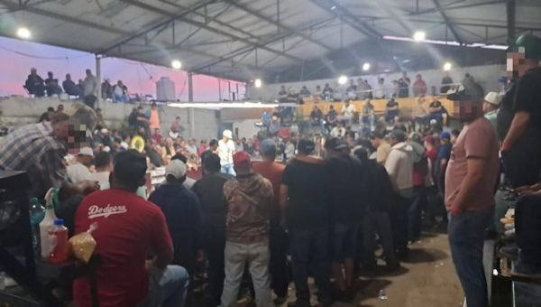 Desactivan palenque clandestino en Zamora