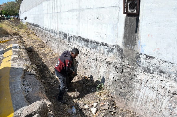Continúa programa de desazolve en arroyos de La Piedad