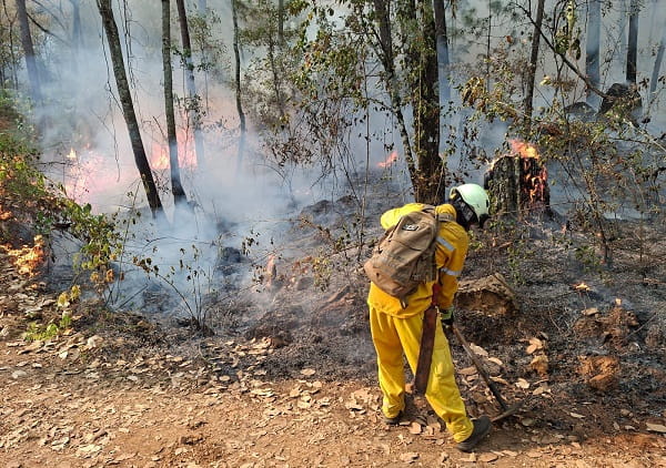 ¡Súmate al apoyo! Secma abre centro de acopio para brigadistas forestales
