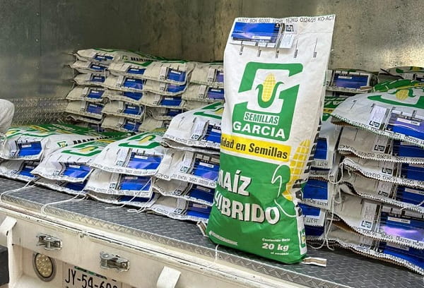 Distribuyen semilla certificada que blindará más de 6 mil hectáreas de cultivo