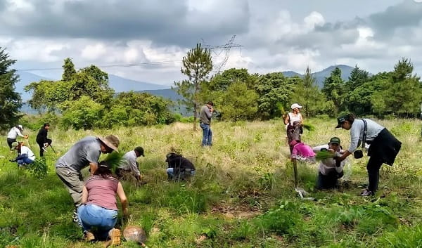 Priorizan rescate de cuencas y Áreas Naturales Protegidas en reforestación estatal