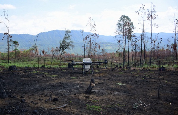 Usan drones para reforestar zonas inaccesibles de Michoacán con programa Bio Renace