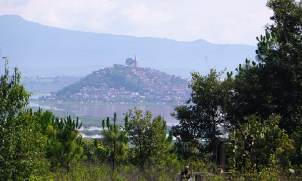 Reforestación en Michoacán, clave para la recuperación de ecosistemas y recursos hídricos