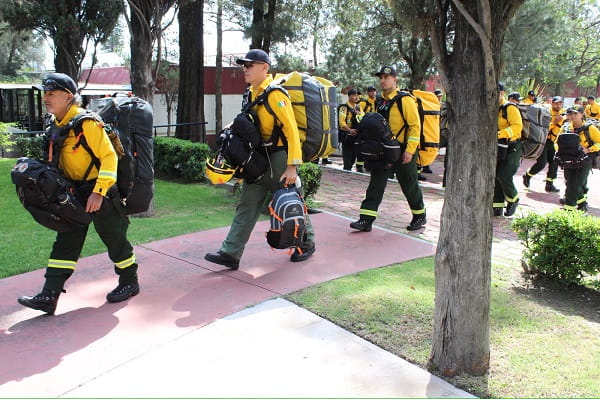 Brigadistas de Michoacán viajarán a Canadá para apoyar en el combate de incendios forestales